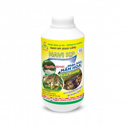 PHÂN HÓA MẦM HOA SẦU RIÊNG
